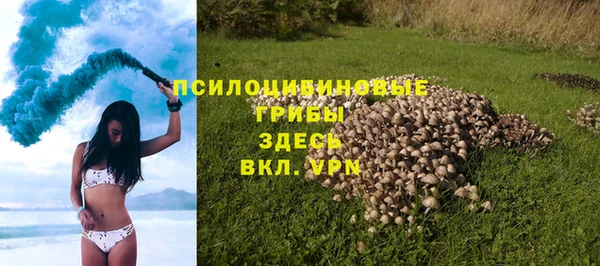 сатива Балабаново