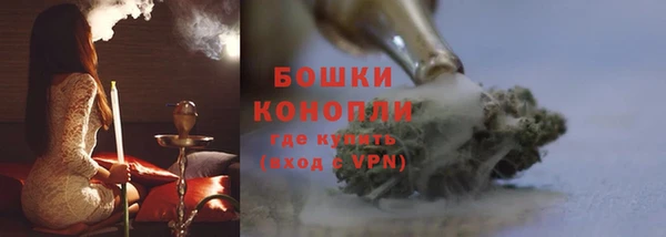 сатива Балабаново