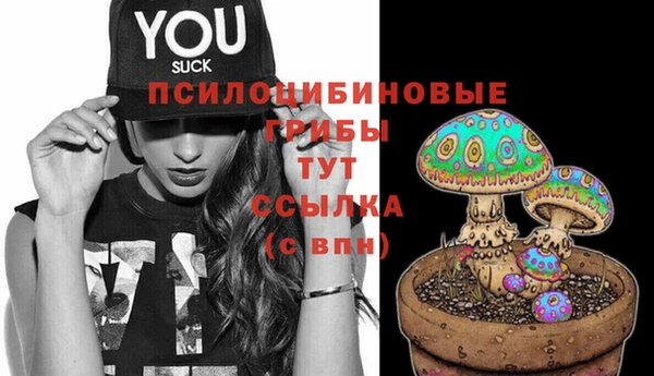 прущие крисы Баксан