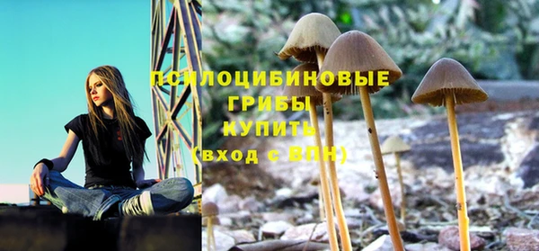 прущие крисы Баксан