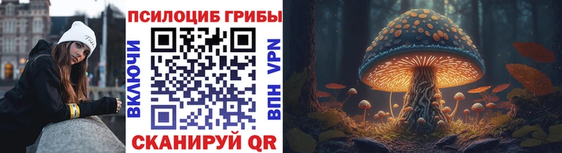 Псилоцибиновые грибы мицелий  наркотики  Рудня 